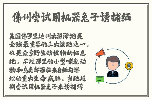 华人欧美国产在线精品